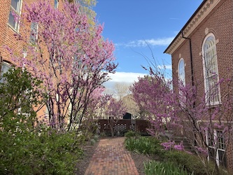 Pollinator Garden Service Learning Day