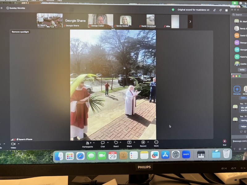 PalmSundayZoom.jpg