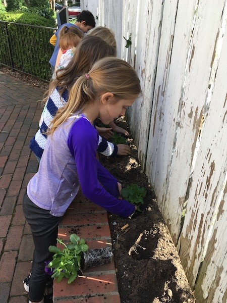 PlantingFlowers1.JPG