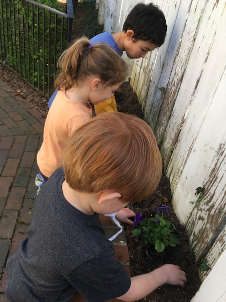 Plantingflowers2.JPG