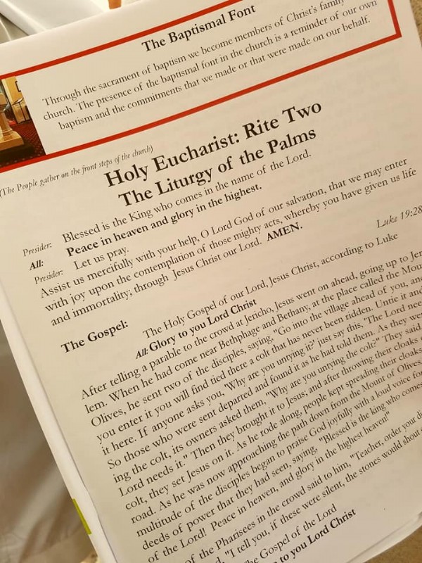 Liturgy of the Palms